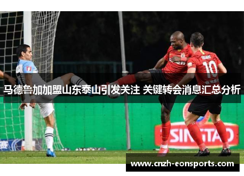 马德鲁加加盟山东泰山引发关注 关键转会消息汇总分析