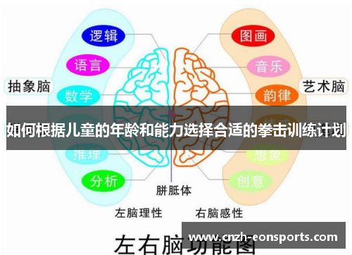 如何根据儿童的年龄和能力选择合适的拳击训练计划